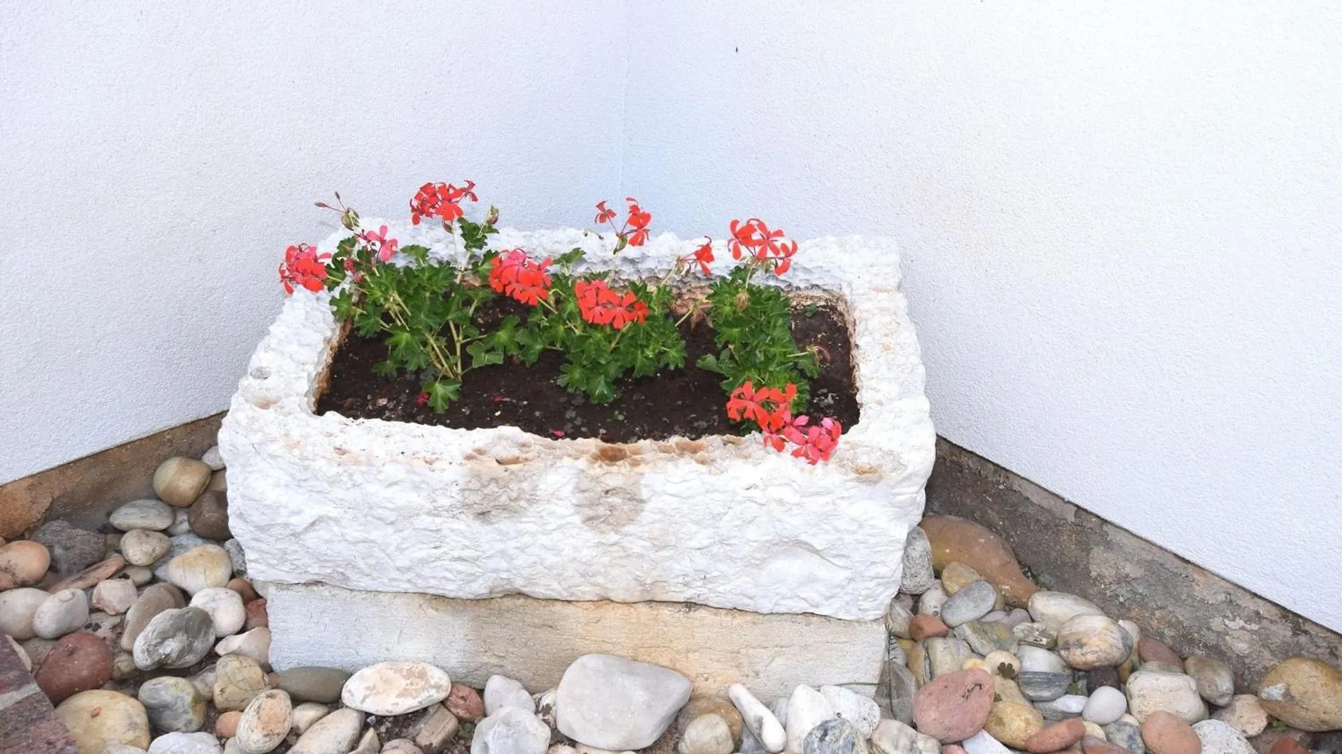 Lovely Apartment With Pool In Pore Poreč